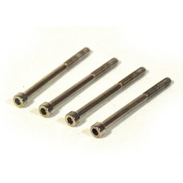 Болты крепления радиатора компрессора 4REVO X20