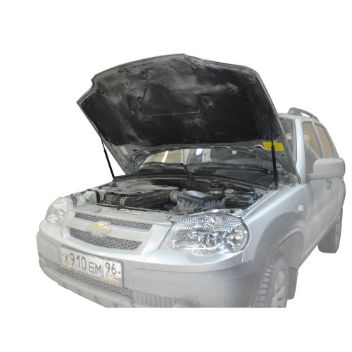 Амортизаторы капота, 2 шт. RIVAL Chevrolet Niva 2002-  A.ST.1004.1