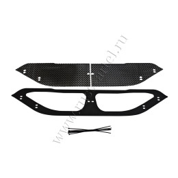 Защитная сетка решетки переднего бампера Русская артель Nissan Qashqai 2011-2014  SRN-136702