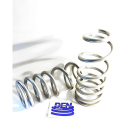 Пружины DenSprings задние Suzuki Jimny (1998-2018) с лифтом 50мм и нагрузкой 200кг