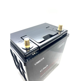 Авто-Мото аккумулятор Литий-Титанат (LTO) Li-Tech SIBERIA 24Ah пусковой ток 1700 ССА тип корпуса B19 обратная полярность (187мм х 129мм х 225мм) элементы питания LG