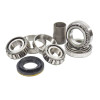 Samurai Bearing & Seal Kit